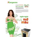 Máy lọc nước Kangaroo KG110